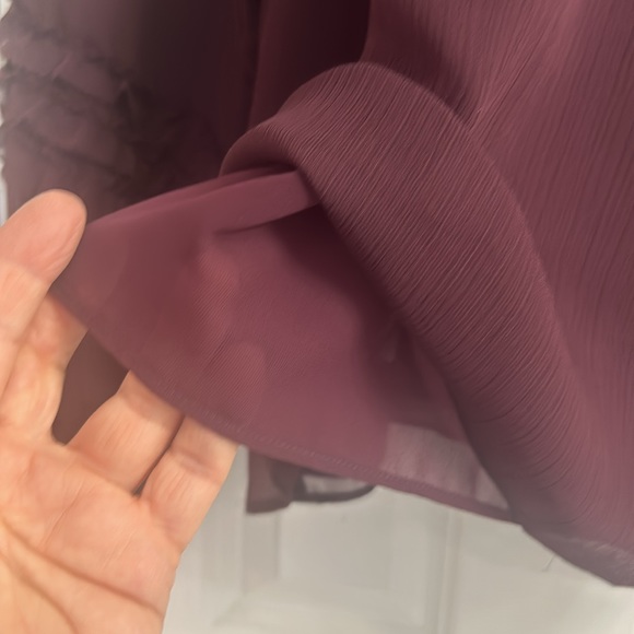 Ann Taylor Burgundy Ethereal Scoop-neck Blouse with Ruffled Sheer Sleeves. EUC - Picture 7 of 10